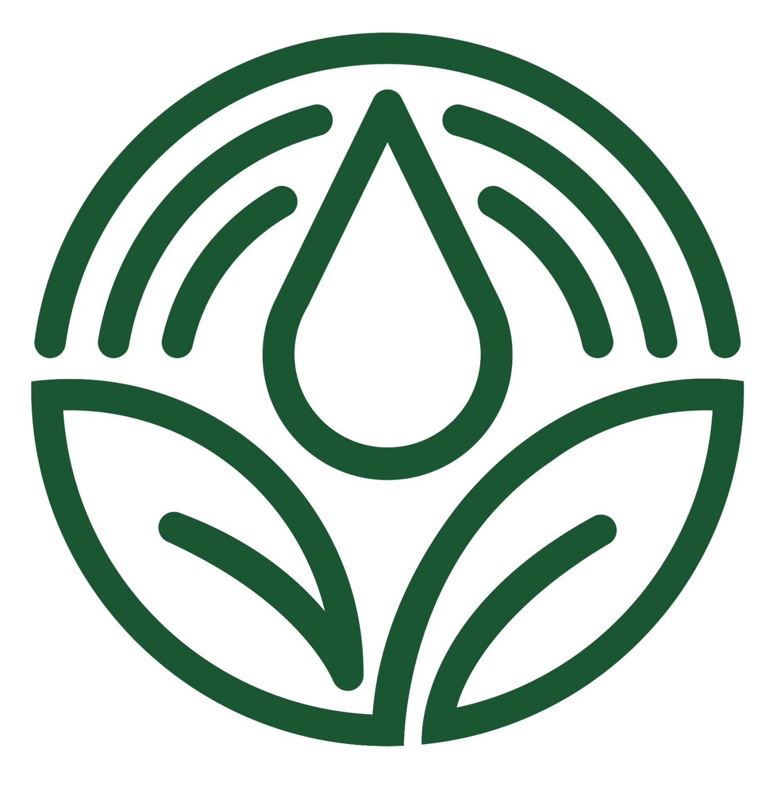 pricing-the-green-mortician-flameless-pet-cremation